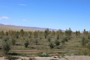 557605612_1211205087813925_5055117063390410799_n-091630-695095578