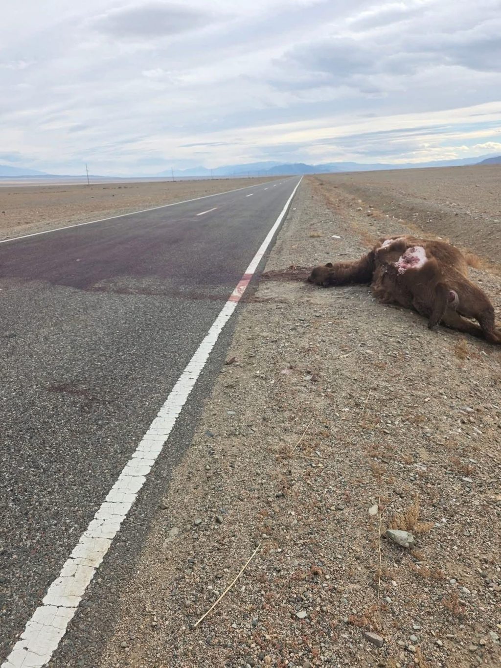 559196046_1260366802777107_1142576752388838566_n