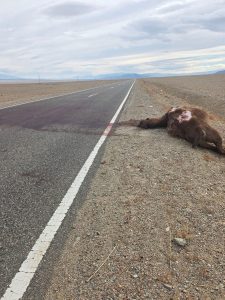 559196046_1260366802777107_1142576752388838566_n