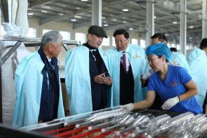 566673328_745024958552132_6640321061568384535_n