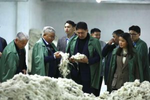 569869828_605086179296931_8286419640057699710_n