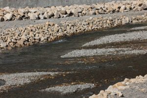 68de1d15e337fe7967a30336