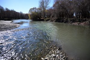 68ea20bfe337fe7967a30459