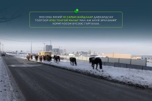 68f840f2e337fe7967a305e7