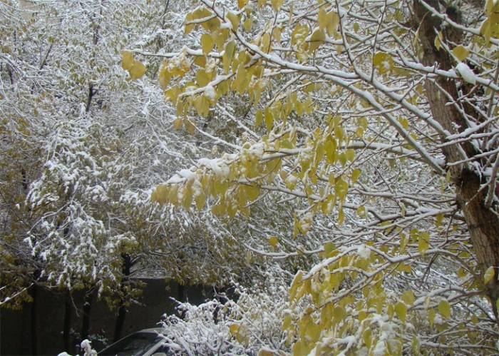 7189402c0b006de2original