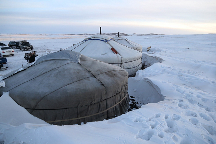 778ff082f159a68f72c8593db64cb1cd