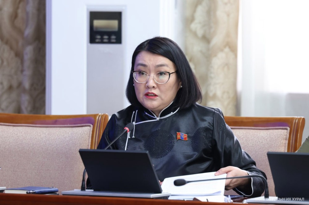 ariunzaya-095013-1305018003