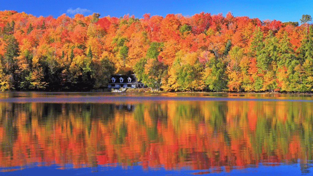 dfda6654a1b9ca36b5a5fc49cdd5e446