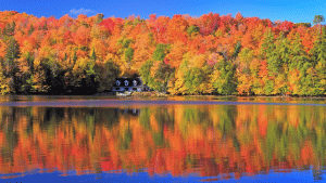 dfda6654a1b9ca36b5a5fc49cdd5e446