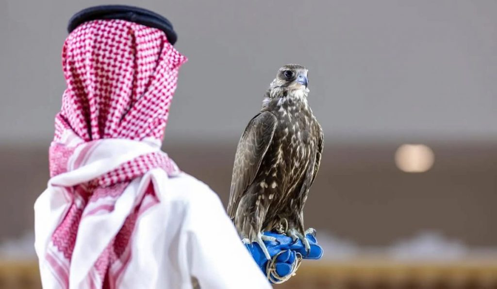 e13c64b40aa9e6f75d6f1f08ecf407f2