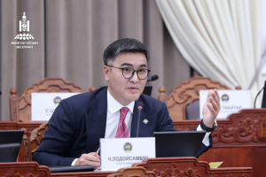 image-0d3c33e7-dd51-4189-973c-1c31440448f4 (1)