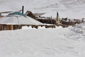 images - 2025-10-17T204621.594