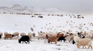 images - 2025-10-21T004056.695