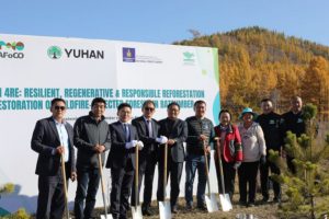 Монгол Солонгосын хамтын ажиллагаагаар 3000 га талбайд ойжуулалт хийнэ