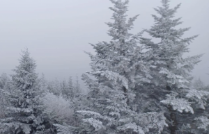 1218587e4cb17ac43852944d3546d89d