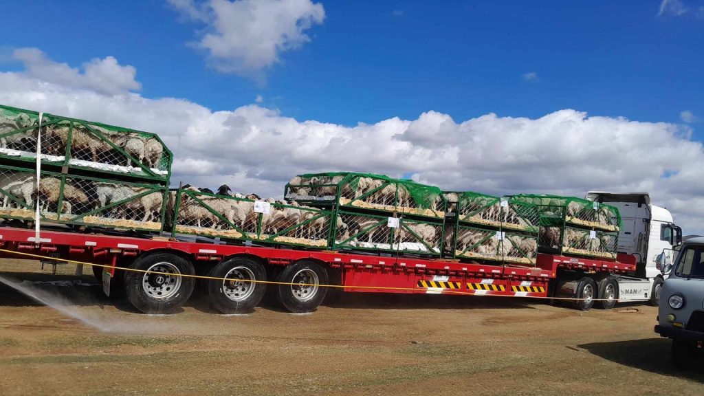 2r1l1t_585354870_1285677843599678_2014972359707179347_n_x974