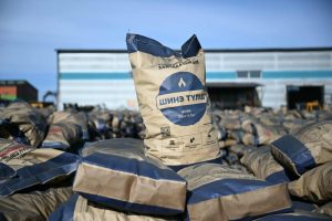 336906-25112025-1764053491-732588329-tulsh