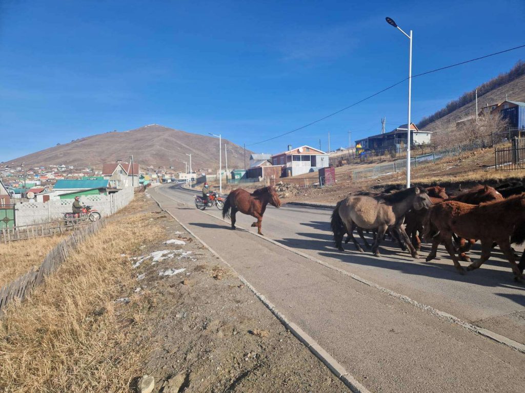 690ab5cee337fe7967a3074b