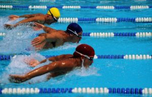 8dbd8e0c387fdd8bf78b170fc6fab0dc