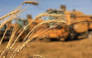 ургац-хураалт-800x500