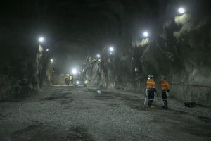 3 буцааж авахын тулд 66 хаядаг хөрөнгө оруулагч байх уу