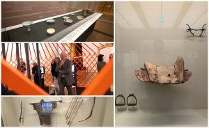 337095-02122025-1764657965-928071279-MixCollage-02-Dec-2025-02-42-PM-3297