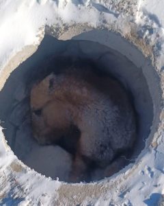 594054792_1421370899565682_5986617697834093382_n