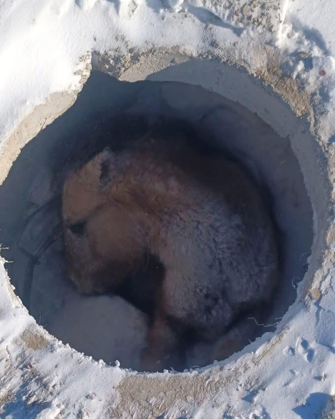 594054792_1421370899565682_5986617697834093382_n