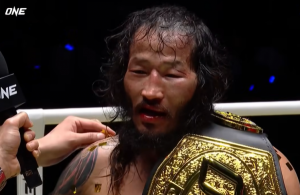 8ab3c97d8977c7e54c208419803c7b13