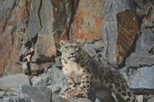 b5a90e3961fd39c87ca3acb4e53bc23f