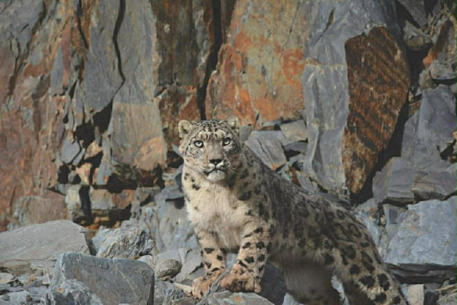 b5a90e3961fd39c87ca3acb4e53bc23f