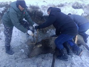 e0440726cf440bbd71cd470e77e03579_x3