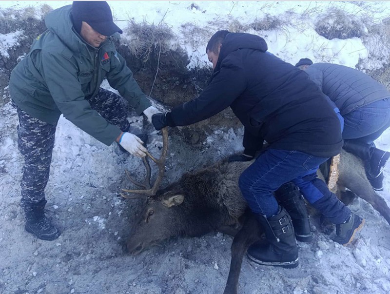 e0440726cf440bbd71cd470e77e03579_x3