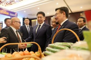 viber_image_2025-12-12_14-13-07-297