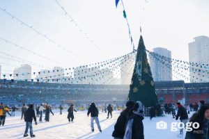 -05012026-1767605063-20865544-0P3A09551