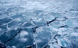 156886-27022015-1425018550-908112146-22112014-1416627022-627539021-mos_mus_ice