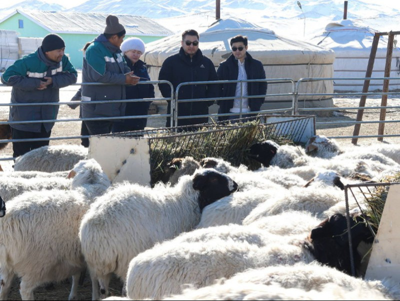 454d7b2967d63b2bc5197d413123636d_x3