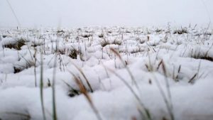 5ef1f6e05257e-76tg0lsyh4gp6tlnnv8gc3kl76j505bx7aoe5s27akg (1)