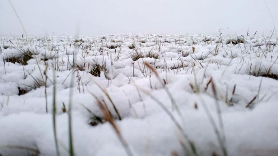 5ef1f6e05257e-76tg0lsyh4gp6tlnnv8gc3kl76j505bx7aoe5s27akg (1)