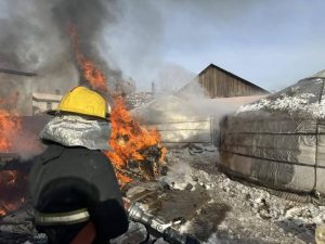 605176054_743258988821284_8691868921989305960_n