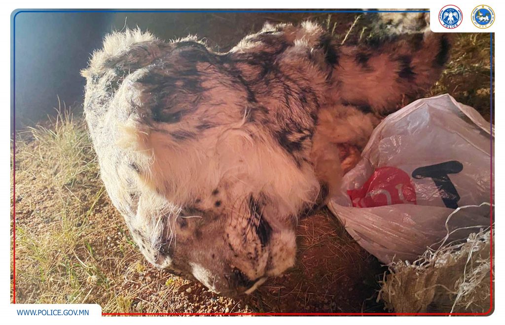 612199927_1182767000683373_8915426235482182145_n