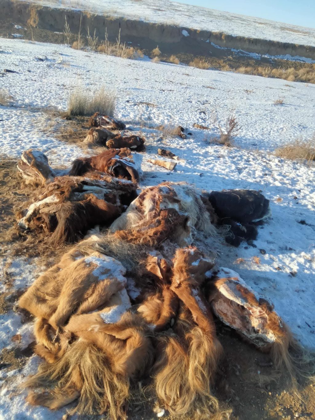 615877646_1523763042796623_3471386541122465625_n