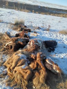 615877646_1523763042796623_3471386541122465625_n