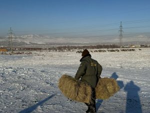 622365103_1220090303556643_6344677248230432545_n