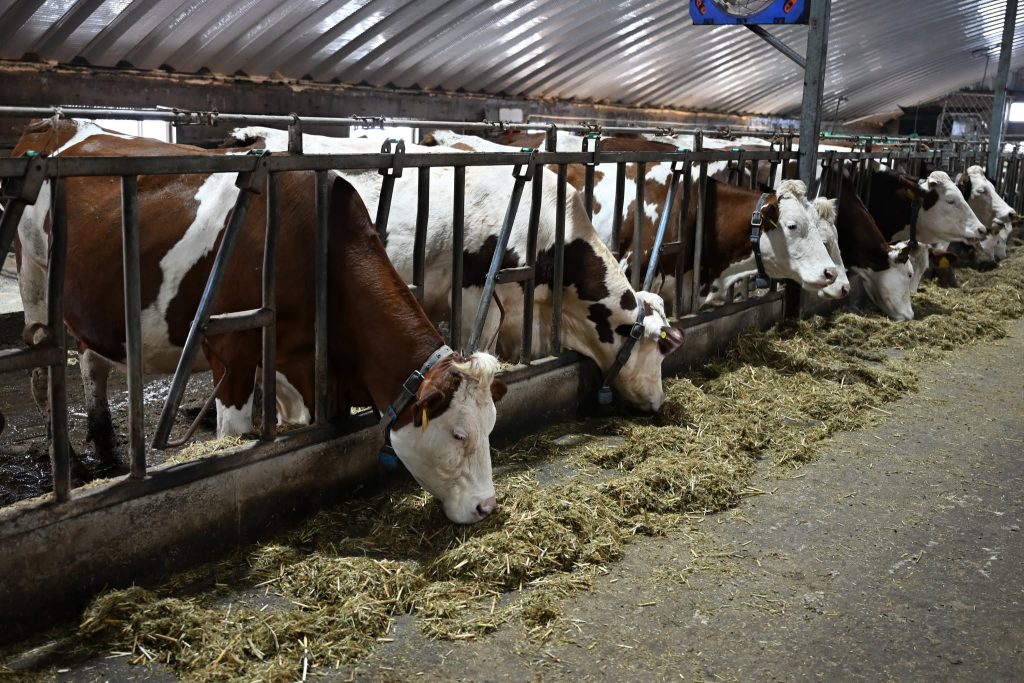 6966147ee337fe7967a30e6c