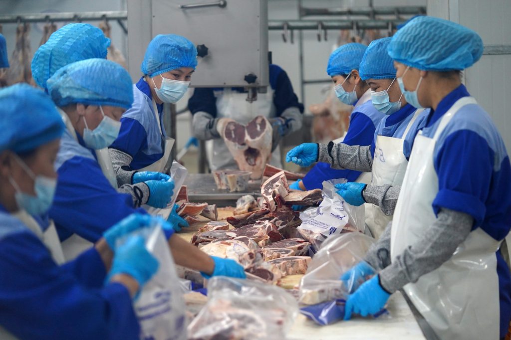 696eeab8e337fe7967a30f3d