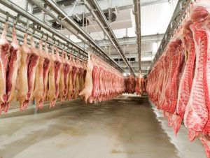 b396a070c6034b1628ffeafc352fb04e_x3 (1)