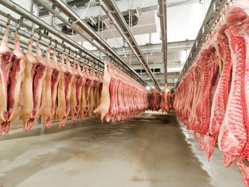 b396a070c6034b1628ffeafc352fb04e_x3 (1)