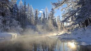 download - 2026-01-17T025439.048