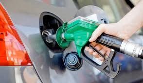 download - 2026-01-21T000152.462